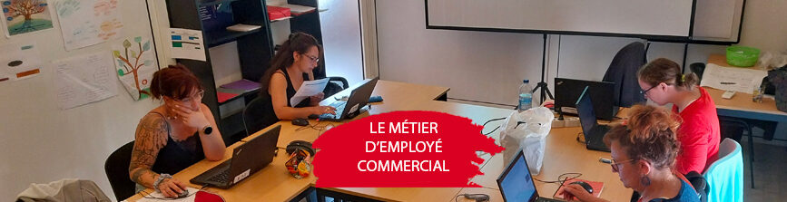 Titre Professionnel Employé Commercial